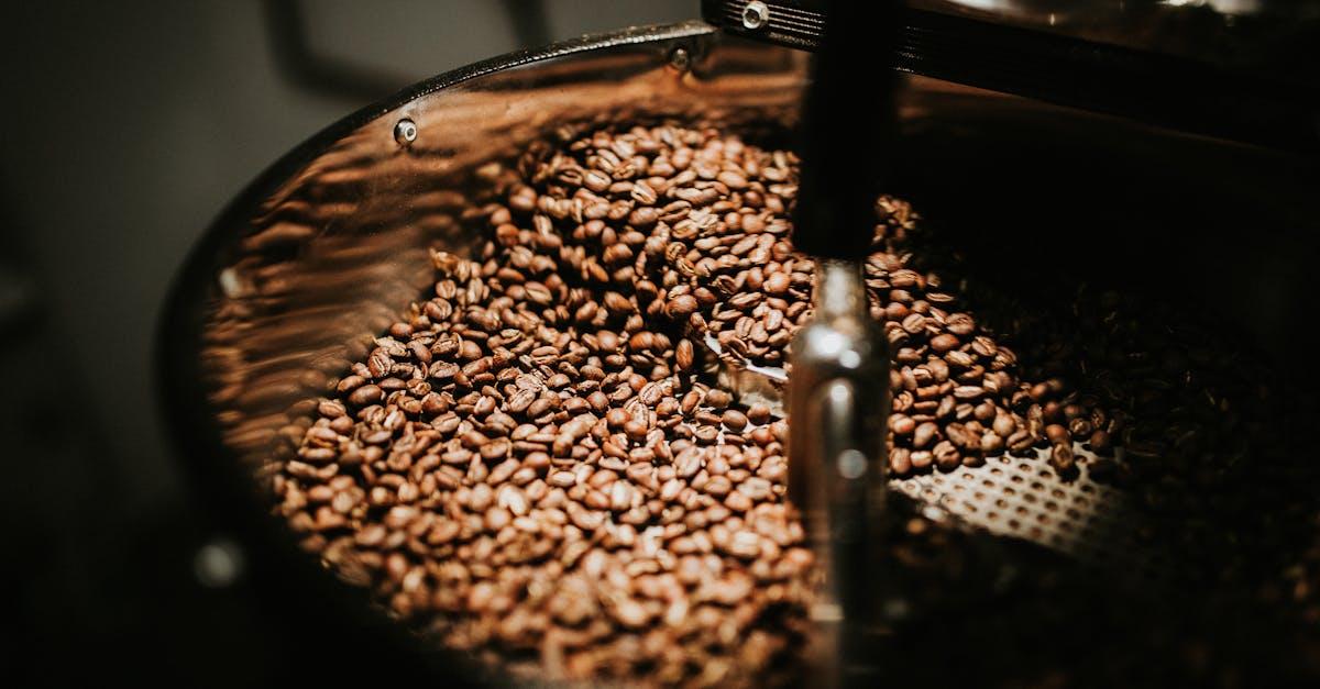 découvrez les fèves fava, une légumineuse délicieuse et nutritive, qui apporte une touche unique à vos plats. apprenez comment les préparer, leurs bienfaits pour la santé et des recettes savoureuses pour enrichir votre alimentation.