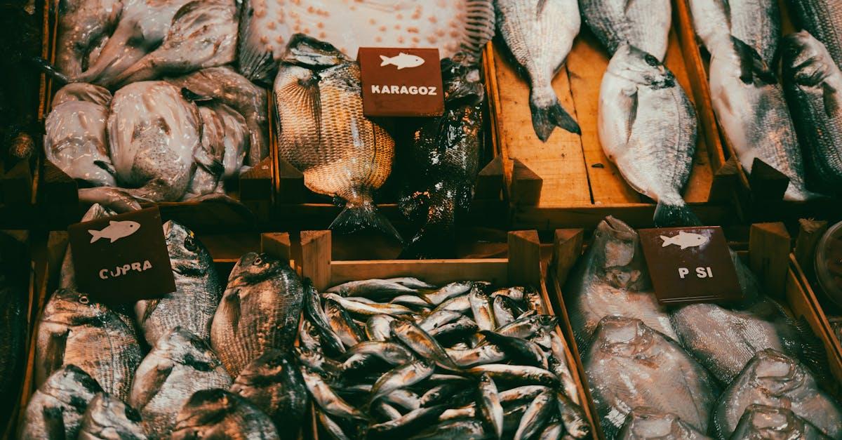 découvrez notre savoureuse recette de ragoût de poisson, un plat réconfortant alliant des saveurs maritimes et des ingrédients frais. parfait pour les amateurs de fruits de mer !