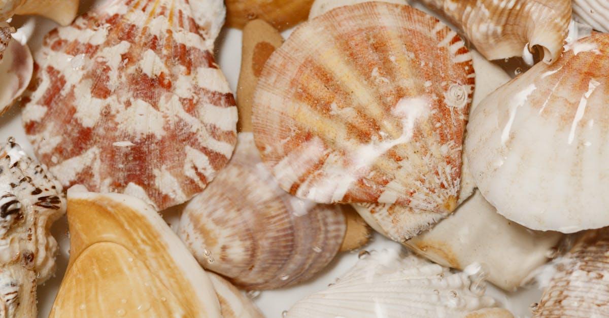 découvrez nos délicieuses croustades aux moules, une savoureuse fusion de fruits de mer et de croustillant. parfaites pour vos apéritifs ou en plat principal, ces bouchées pleines de goût raviront vos convives et ajouteront une touche raffinée à vos repas.