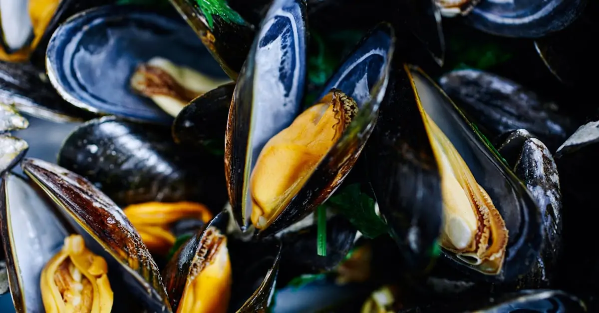 découvrez l'univers délicieux des moules ! apprenez à préparer ce fruit de mer savoureux avec des recettes variées, des conseils de cuisson et des astuces pour les assaisonner à la perfection. que ce soit pour un repas en famille ou un dîner entre amis, les moules sont un choix idéal pour ravir vos convives.