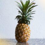 découvrez tout sur l'ananas : ses bienfaits nutritionnels, des recettes savoureuses, et des astuces pour le choisir et le préparer. plongez dans l'univers tropical de ce fruit juteux et plein de saveur !