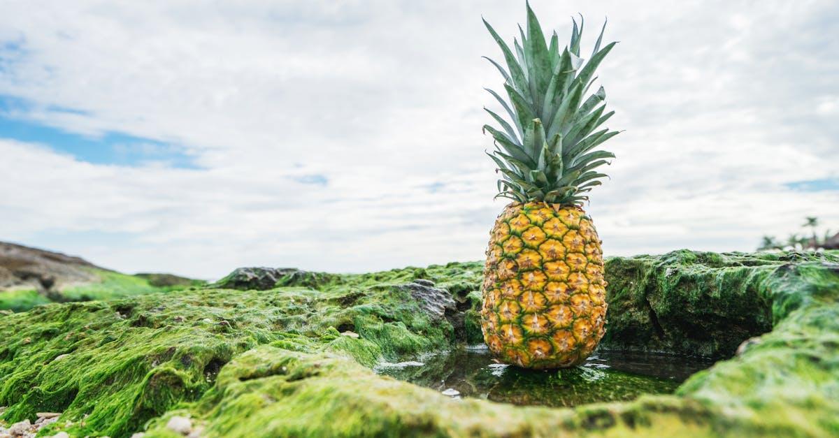 découvrez l'ananas, un fruit tropical sucré et juteux, parfait pour rafraîchir vos plats et boissons. apprenez ses bienfaits pour la santé, ses recettes délicieuses et comment l'incorporer dans votre alimentation quotidienne.