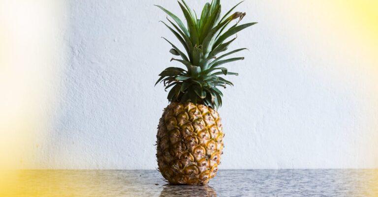 découvrez tout sur l'ananas : ses bienfaits nutritionnels, des recettes savoureuses, et des astuces pour le choisir et le préparer. plongez dans l'univers tropical de ce fruit juteux et plein de saveur !