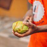 découvrez les meilleures techniques de décorticage de la pistache pour optimiser votre préparation culinaire. apprenez des méthodes efficaces et simples pour profiter pleinement de ce délicieux fruit sec.