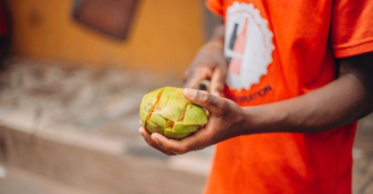 découvrez les meilleures techniques de décorticage de la pistache pour optimiser votre préparation culinaire. apprenez des méthodes efficaces et simples pour profiter pleinement de ce délicieux fruit sec.