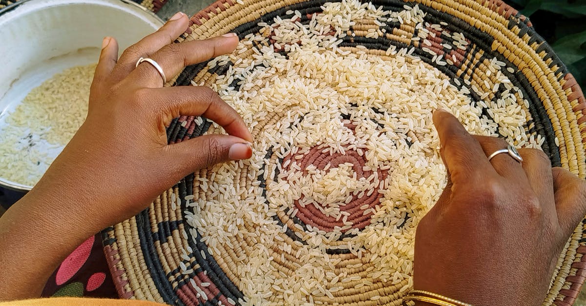 découvrez notre cuiseur à riz performant, idéal pour préparer parfaitement votre riz à chaque repas. profitez d'une cuisson homogène et de résultats savoureux, tout en d'autres options de cuisson.
