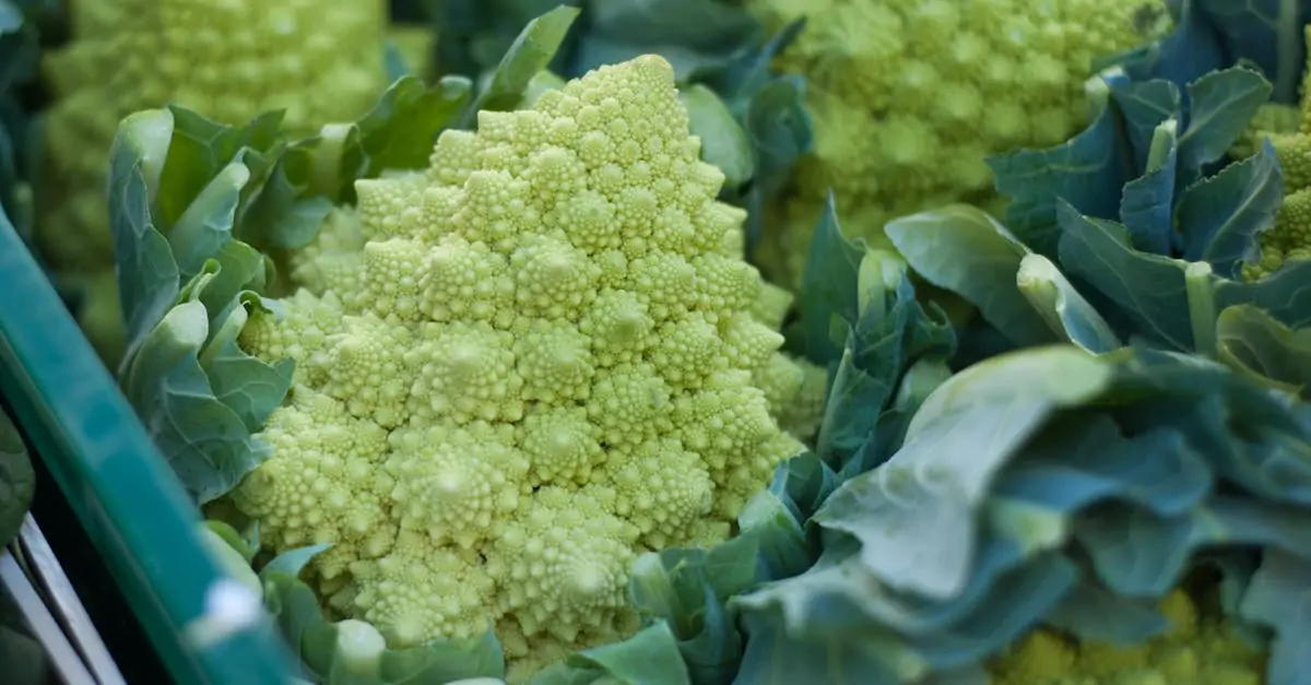 découvrez le romanesco, ce chou-fleur au goût délicat et à l'apparence étonnante en forme de fractale. apprenez à l'intégrer dans vos recettes pour des plats colorés et savoureux.