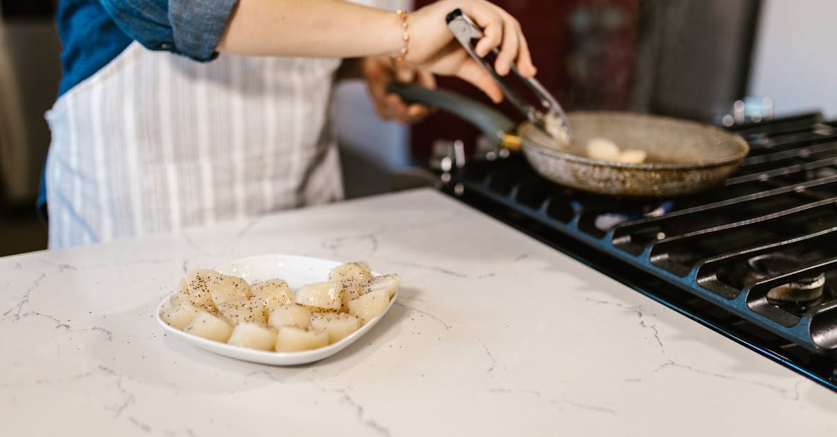 découvrez l'univers savoureux des coquilles saint-jacques. nos recettes, conseils de préparation et astuces de cuisson vous guideront pour savourer ce délice des fruits de mer, que ce soit en entrée raffinée ou en plat principal.