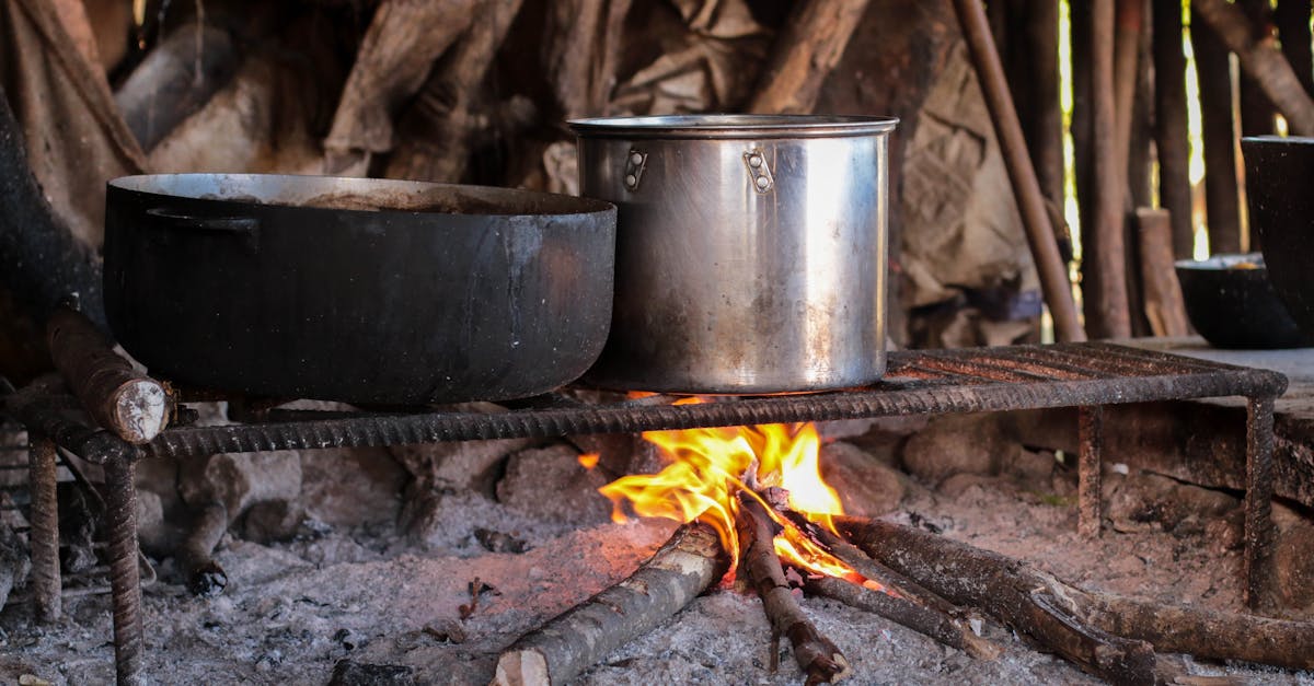 découvrez l'art de la cuisson lente avec des recettes savoureuses et réconfortantes. transformez vos plats en délices grâce à des méthodes de slow cooking qui révèlent toutes les saveurs des ingrédients. idéal pour des repas en famille ou entre amis.