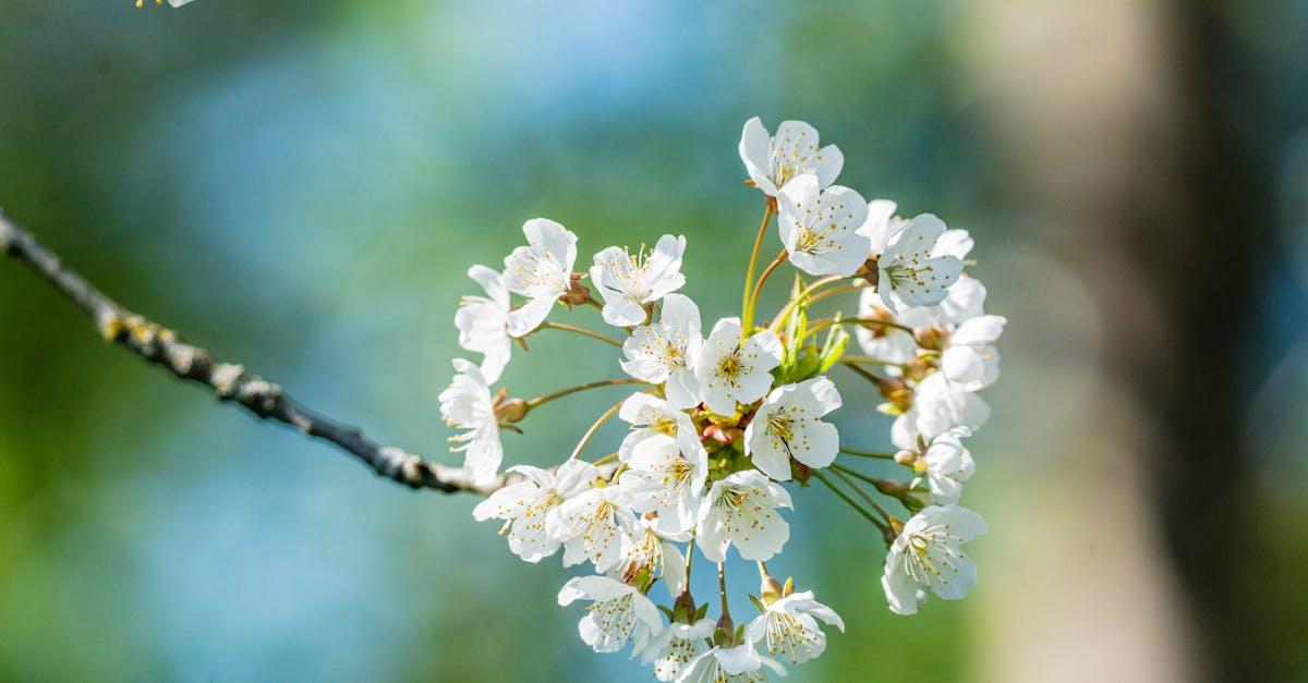 découvrez l'univers de la douceur avec notre sélection de produits qui allient confort et bien-être. plongez dans une expérience sensorielle unique qui vous enveloppe de tendresse et de sérénité.