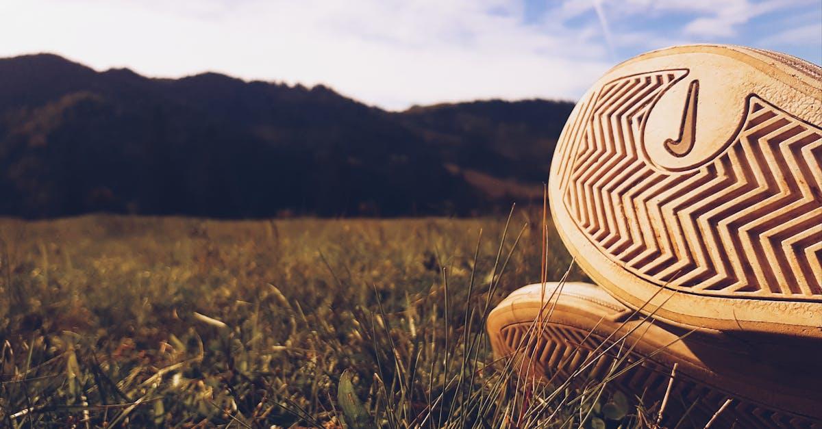découvrez les bienfaits du sol, un élément essentiel de notre écosystème, et apprenez comment le préserver pour les générations futures. explorez son rôle dans la biodiversité, l'agriculture durable et la séquestration du carbone.