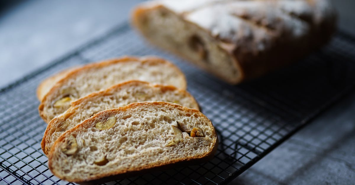 découvrez l'univers du pain au levain : recettes, techniques de fermentation, astuces pour réaliser un pain moelleux et savoureux à la croûte dorée. plongez dans l'art de la boulangerie avec le sourdough.