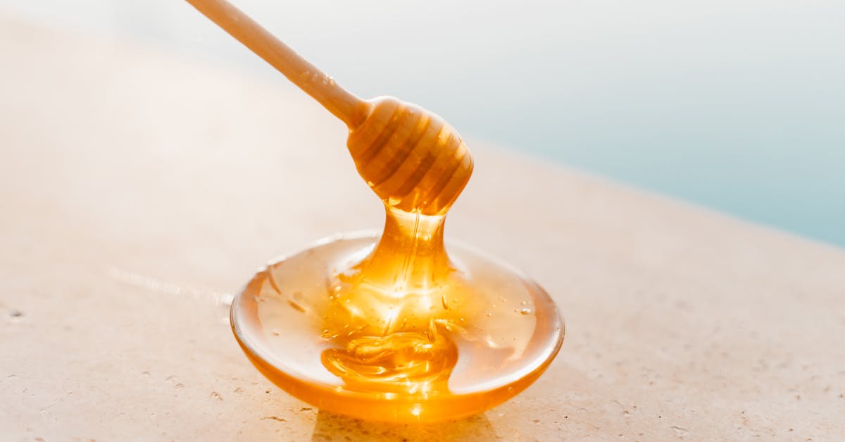 découvrez notre gamme de sirops faits maison, idéaux pour aromatiser vos boissons, desserts et plats. fabriqués à partir d'ingrédients naturels, nos sirops ajoutent une touche de saveur unique et authentique à toutes vos créations culinaires.