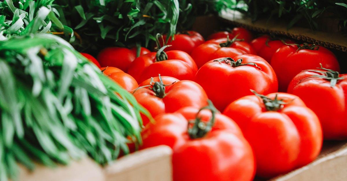 découvrez l'univers fascinant des tomates : variétés, bienfaits pour la santé, recettes savoureuses et conseils de culture pour profiter pleinement de ce fruit incontournable en cuisine.