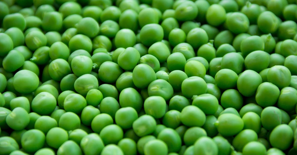 découvrez notre délicieuse recette de tartare de légumes, une spécialité fraîche et colorée, parfaite pour les amateurs de cuisine saine. réveillez vos papilles avec ce mélange savoureux de légumes croquants, d'herbes aromatiques et d'assaisonnements délicats. idéal en entrée ou en plat principal, ce tartare ravira tous les gourmands !