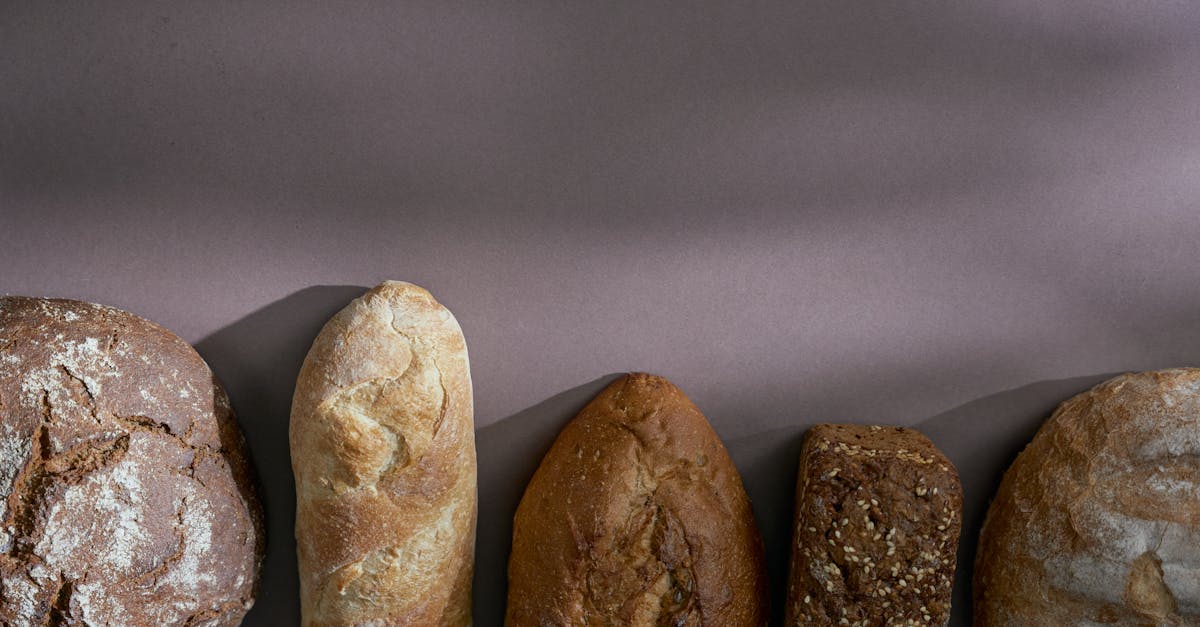 découvrez tout sur la levure : ses types, ses bienfaits pour la santé, son utilisation en cuisine et en boulangerie, ainsi que son rôle essentiel dans la fermentation. apprenez à intégrer la levure dans vos recettes pour des préparations délicieuses et réussies.