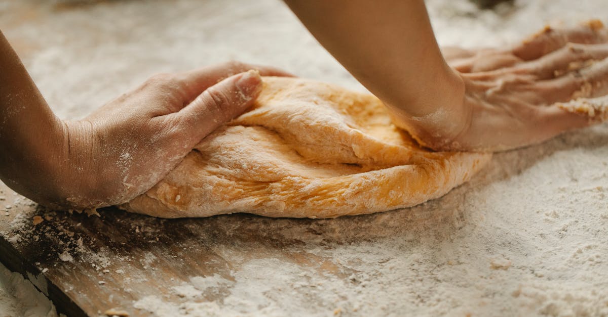 découvrez l'univers fascinant de la levure : ses propriétés, ses types et son rôle essentiel dans la fermentation, la boulangerie et la production de boissons alcoolisées.