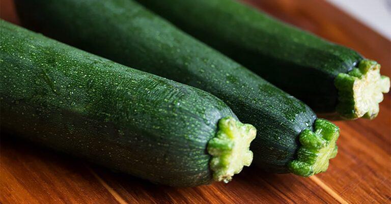 découvrez tout sur la courgette : recettes savoureuses, bienfaits nutritionnels et conseils de culture. explorez les multiples façons de cuisiner ce légume d'été délicieux et sain.