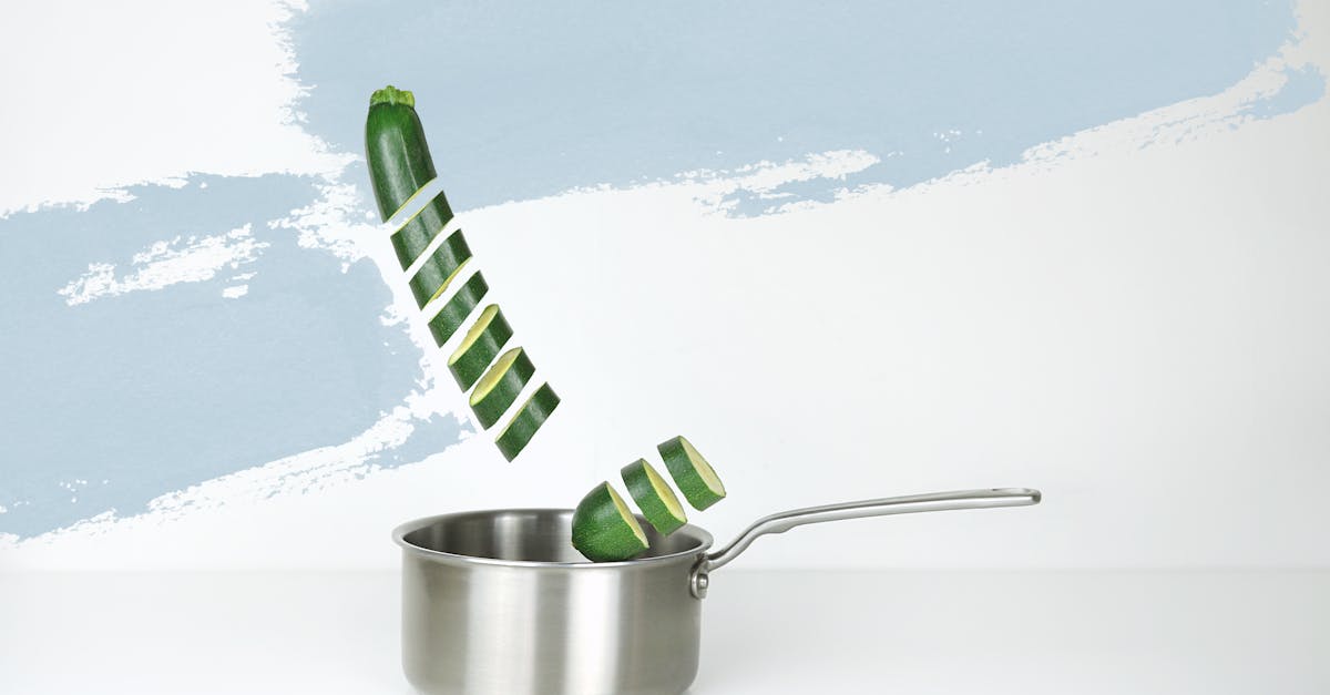 découvrez tout sur le zucchini, ce légume savoureux et polyvalent. apprenez des recettes délicieuses, des conseils de culture et des astuces pour profiter pleinement de ses bienfaits nutritionnels. idéal pour vos plats santé et gourmands!