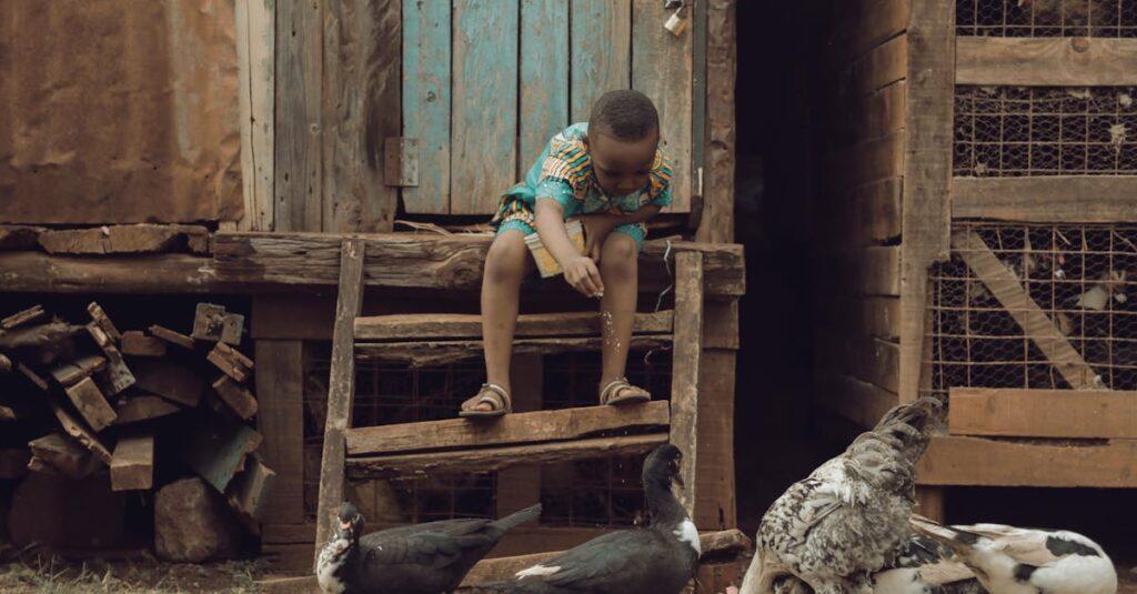 découvrez la recette de l'african chicken, un plat savoureux et épicé qui met en valeur des ingrédients authentiques d'afrique. apprenez à préparer ce poulet juteux, mariant tradition et modernité pour un voyage culinaire inoubliable.