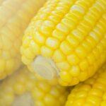 découvrez les bienfaits des noyaux d'abricot, riches en nutriments et en antioxydants. apprenez comment les intégrer dans votre alimentation pour améliorer votre santé et votre bien-être.