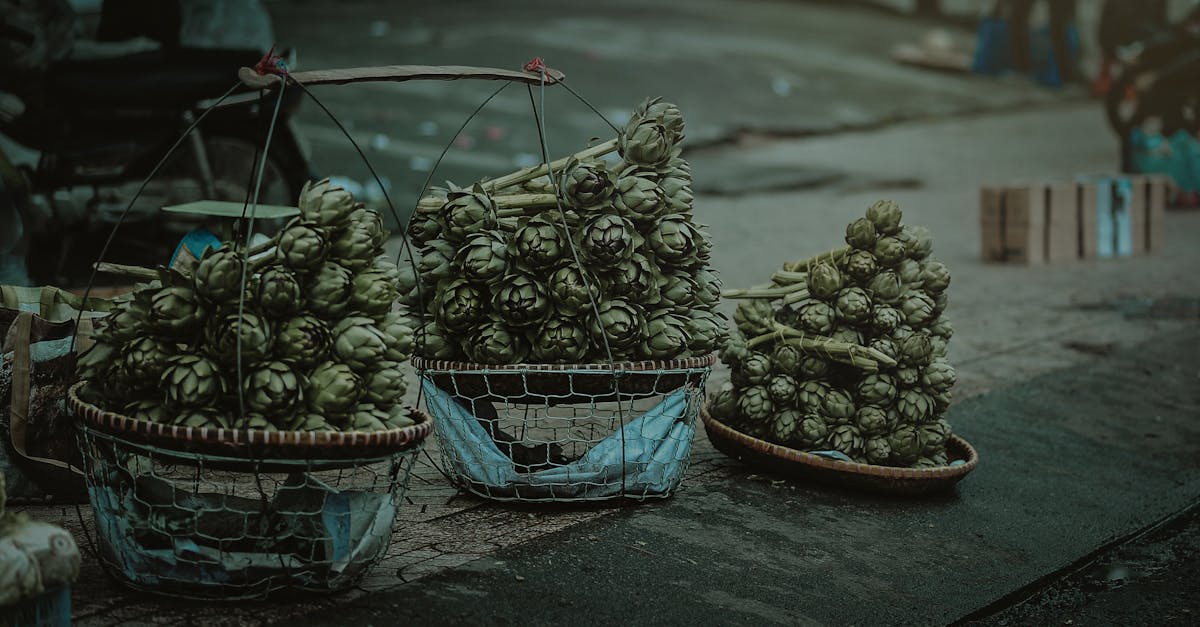 découvrez tout sur les artichauts : leurs bienfaits nutritionnels, des recettes savoureuses et des conseils pour les sélectionner et les préparer. apprenez à incorporer ce légume délicieux et sain dans votre alimentation !