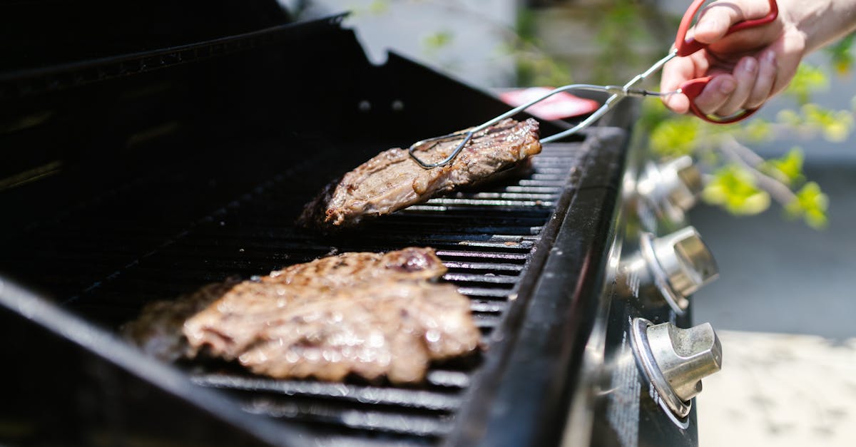 découvrez notre savoureuse recette de rôti de bœuf, parfaite pour vos repas de fête ou les dîners en famille. avec des conseils pour une cuisson optimale et des accompagnements délicieux, impressionnez vos convives avec ce plat succulent !