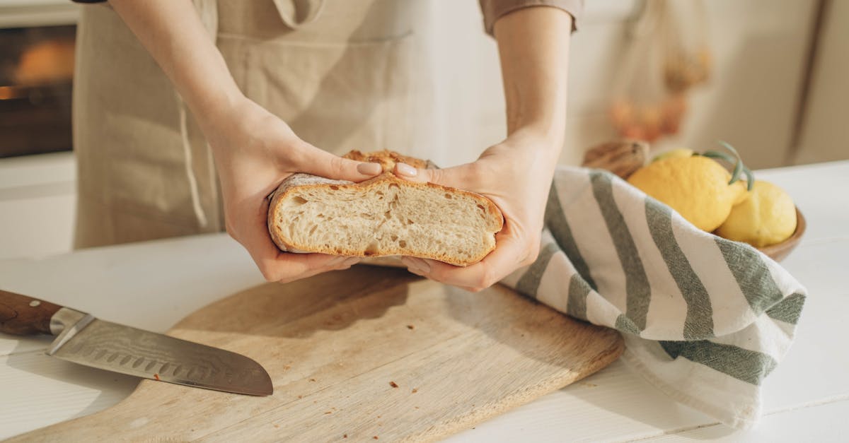 découvrez notre four à pain, l'outil idéal pour les boulangers amateurs et professionnels. préparez des pains croustillants et savoureux avec une cuisson uniforme et parfaite. transformez votre expérience de cuisson avec notre four à pain de qualité supérieure.