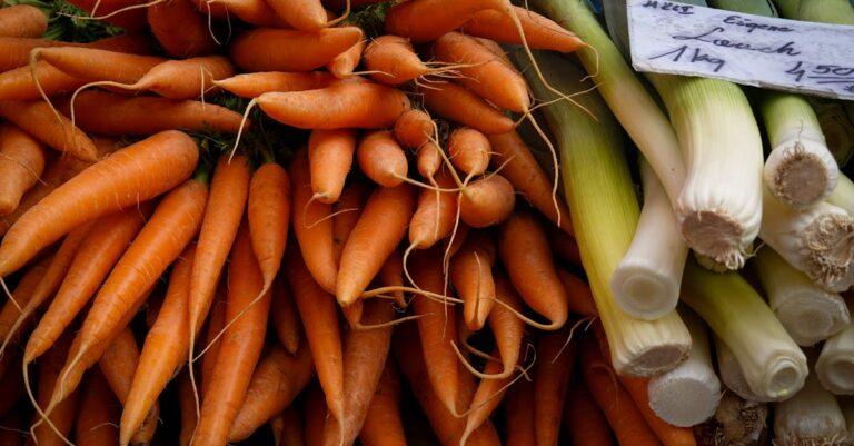 découvrez la douceur irrésistible des carottes confites, un délice sucré qui sublime vos plats. idéales en accompagnement ou en dessert, ces carottes enrobées de sucre apporteront une touche d'originalité à vos repas. parfaites pour épater vos invités ou se faire plaisir à tout moment !