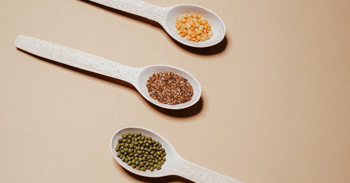 découvrez les lentilles, des légumineuses riches en protéines et en fibres, idéales pour une alimentation saine et équilibrée. apprenez à les cuisiner avec des recettes variées et savoureuses qui séduiront vos papilles tout en apportant de nombreux bienfaits pour la santé.