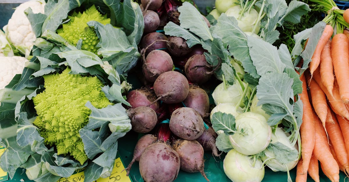 découvrez le romanesco, ce chou au look original et à la saveur délicate. apprenez à le cuisiner et à intégrer ce légume à la fois nutritif et esthétique dans vos plats pour un repas sain et coloré.