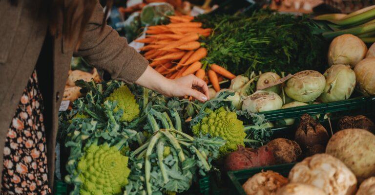 découvrez le romanesco, ce légume crucifère aux formes fractales fascinantes et à la saveur délicate. apprenez comment l'intégrer dans vos recettes et profitez de ses bienfaits nutritionnels exceptionnels. idéal pour ajouter une touche originale et saine à vos plats!