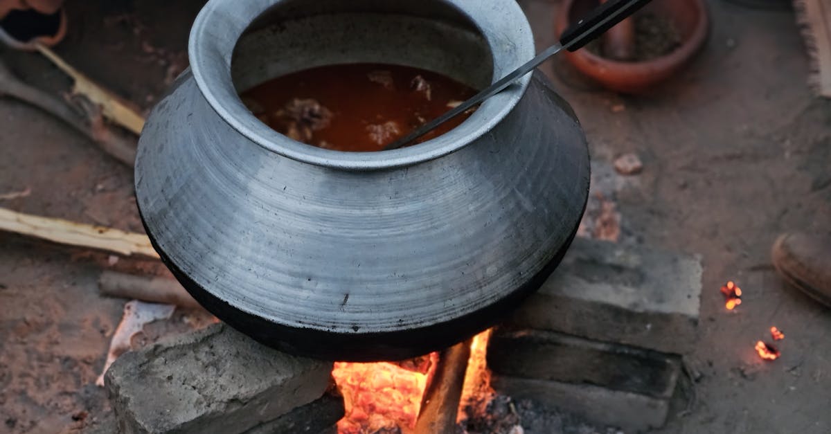 découvrez l'art du slow cooking, une méthode de cuisson douce qui permet de savoureux plats mijotés, riches en saveurs et en nutriments. prenez le temps d'apprécier les ingrédients à leur juste valeur et laissez-vous séduire par des recettes réconfortantes adaptées à tous les palais.
