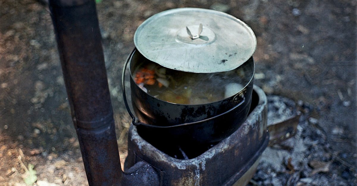 découvrez l'art du slow cooking : préparez des plats savoureux et réconfortants grâce à une cuisson lente qui préserve toutes les saveurs. idéal pour les amateurs de cuisine qui souhaitent un repas savoureux sans stress.