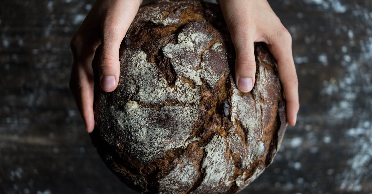 découvrez l'art de la fermentation naturelle avec notre pain au levain, un délice croustillant à l'extérieur et moelleux à l'intérieur, parfait pour les sandwiches ou à déguster seul. apprenez à le préparer chez vous grâce à nos recettes et astuces faciles.