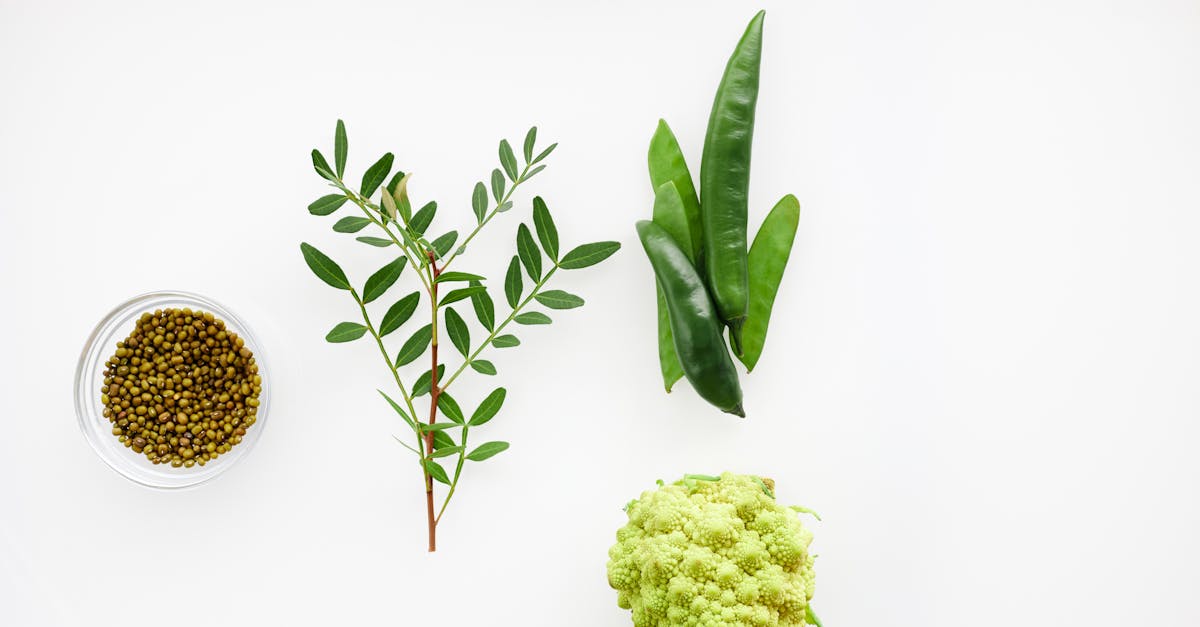 découvrez les bienfaits du chou-fleur, un légume polyvalent et nutritif. apprenez à l'intégrer dans vos repas avec des recettes savoureuses et des conseils de préparation.