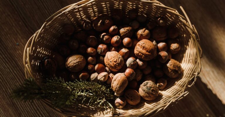 découvrez les châtaignes : des fruits délicieux et nutritifs, parfaits pour rehausser vos plats d'automne. apprenez des recettes savoureuses, des astuces de préparation et les bienfaits santé de cette délicatesse de saison.