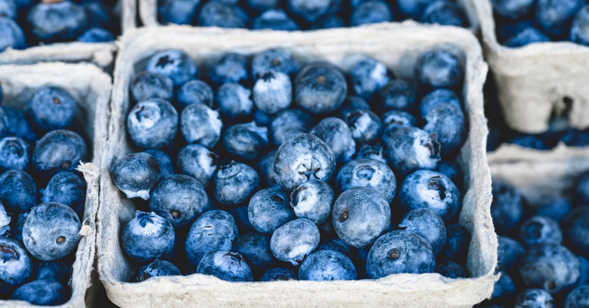 découvrez les délices de la production de juin ! profitez des fruits et légumes frais de saison, idéaux pour vos recettes estivales. améliorez votre alimentation avec des produits locaux et savoureux, tout en célébrant la richesse de la nature.