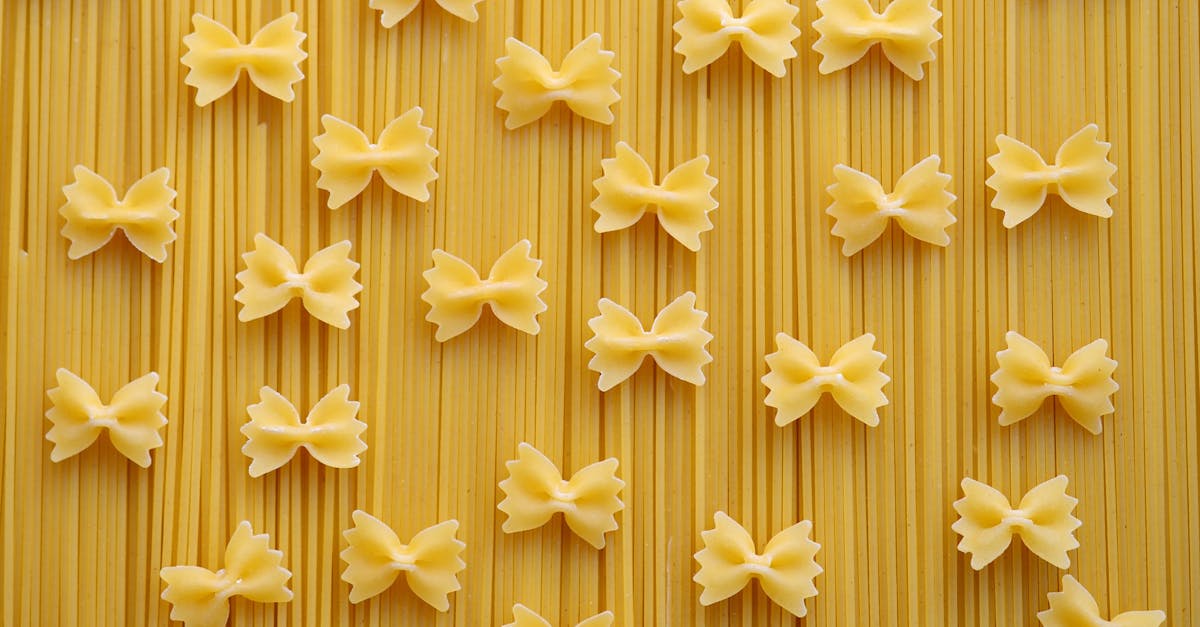 découvrez l'univers savoureux des pâtes avec nos recettes authentiques et variées. que vous soyez amateur de pâtes à la sauce tomate, carbonara ou crémeuses, trouvez l'inspiration pour vos plats maison. apprenez des astuces de cuisson parfaites et explorez des associations gourmandes pour ravir vos convives.