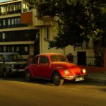 découvrez une recette de curry de dinde savoureuse et réconfortante, alliant épices exotiques et tendreté de la viande. parfaite pour un repas en famille ou entre amis, cette préparation facile à réaliser séduira vos papilles avec ses arômes envoûtants.