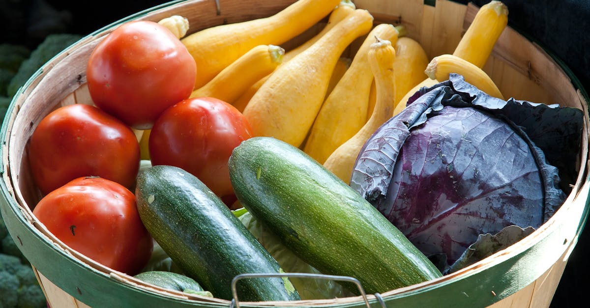 découvrez tout sur le zucchini : recettes savoureuses, conseils de culture et bienfaits pour la santé. apprenez à intégrer ce légume polyvalent dans vos plats préférés pour une alimentation saine et délicieuse.
