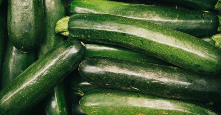 découvrez tout ce que vous devez savoir sur les courgettes : recettes délicieuses, conseils de culture et bienfaits nutritionnels. inspirez-vous pour ajouter ce légume polyvalent à vos repas et explorez des astuces pour le cuisiner de manière savoureuse.