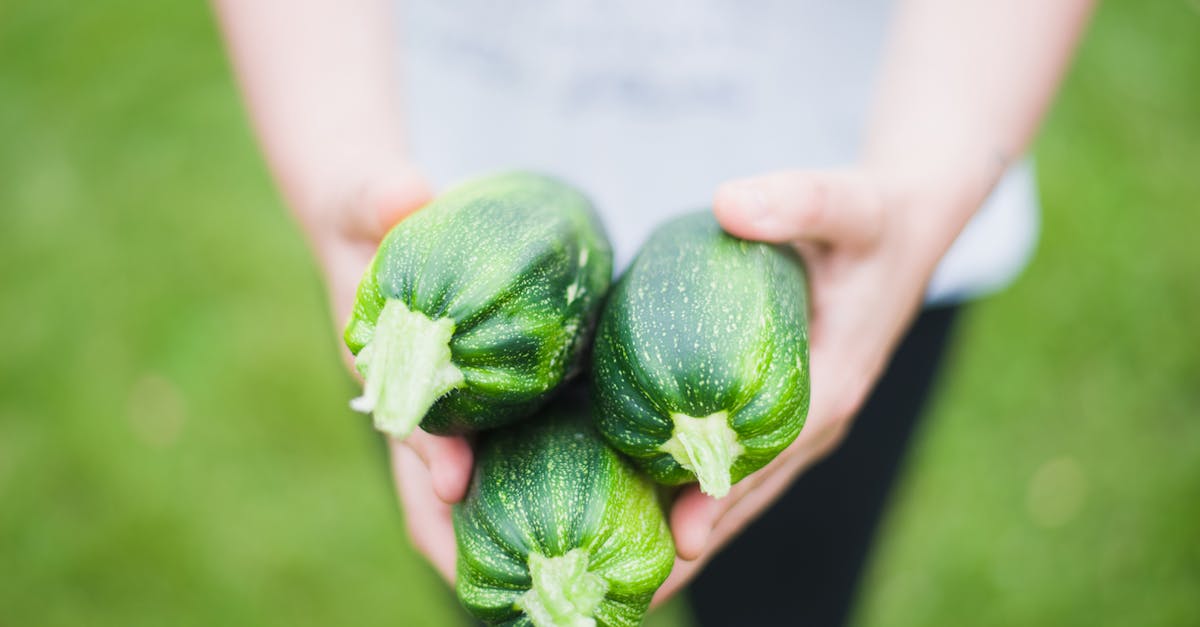 découvrez tout sur les courgettes : recettes délicieuses, astuces de culture, bienfaits nutritionnels et idées créatives pour intégrer ce légume polyvalent dans vos plats quotidiens.