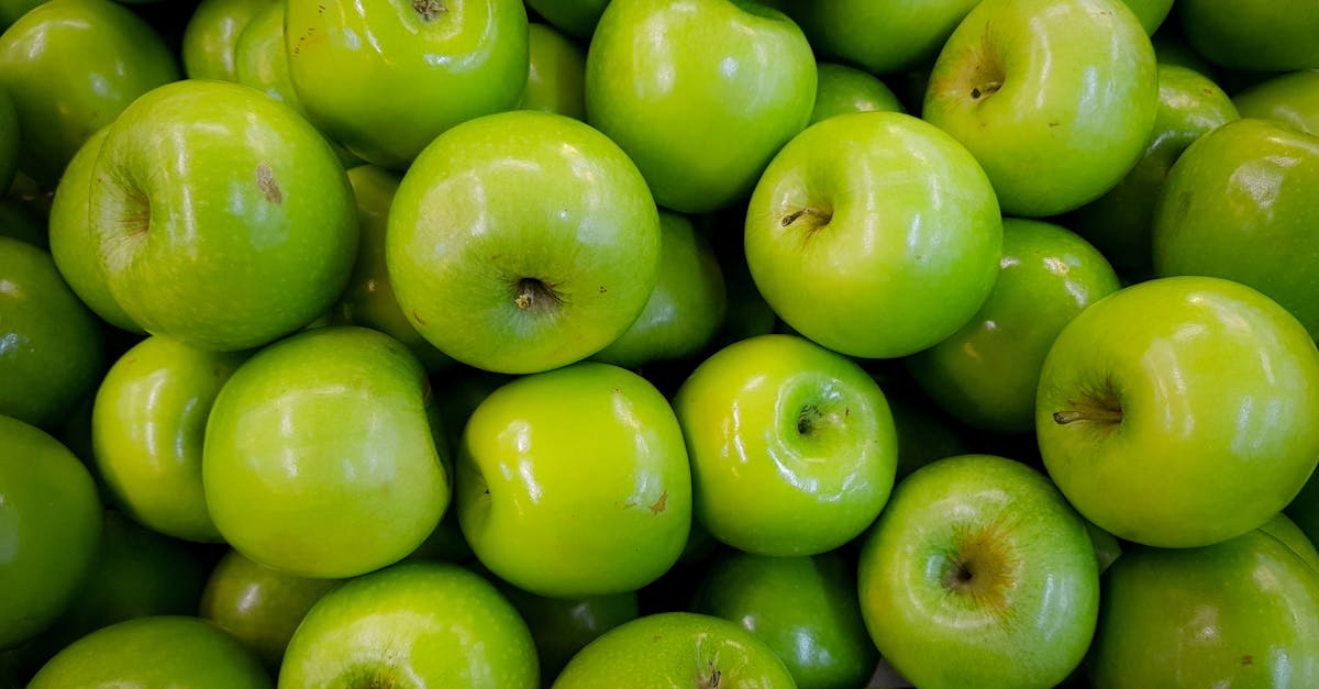 découvrez notre délicieuse tarte à l'abricot, un savoureux mélange de pâte dorée et de fruits juteux. parfaite pour les gourmands, cette recette sucrée saura ravir vos papilles et égayer vos repas d'été. facile à préparer, elle est l'accompagnement idéal pour vos moments de partage en famille ou entre amis.
