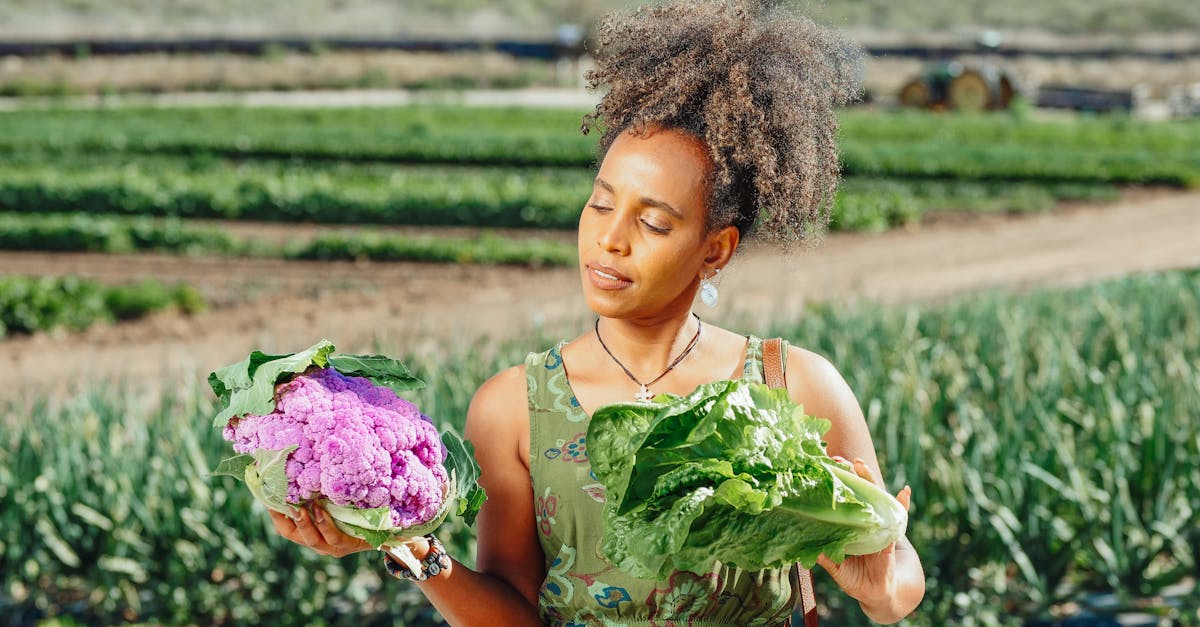 découvrez les bienfaits nutritionnels et les délicieuses recettes à base de chou-fleur. ce légume polyvalent est idéal pour tous, des plats végétariens aux accompagnements savoureux. apprenez à maîtriser cet ingrédient sain et tendance dans votre cuisine.