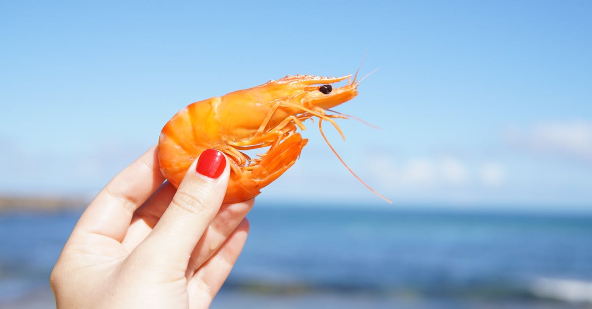 découvrez le cookeo, le multicuiseur intelligent qui facilite la préparation de vos repas. grâce à ses recettes variées et sa cuisson rapide, préparez des plats savoureux en un rien de temps, tout en maîtrisant le temps et les ingrédients. transformez votre cuisine avec cookeo !