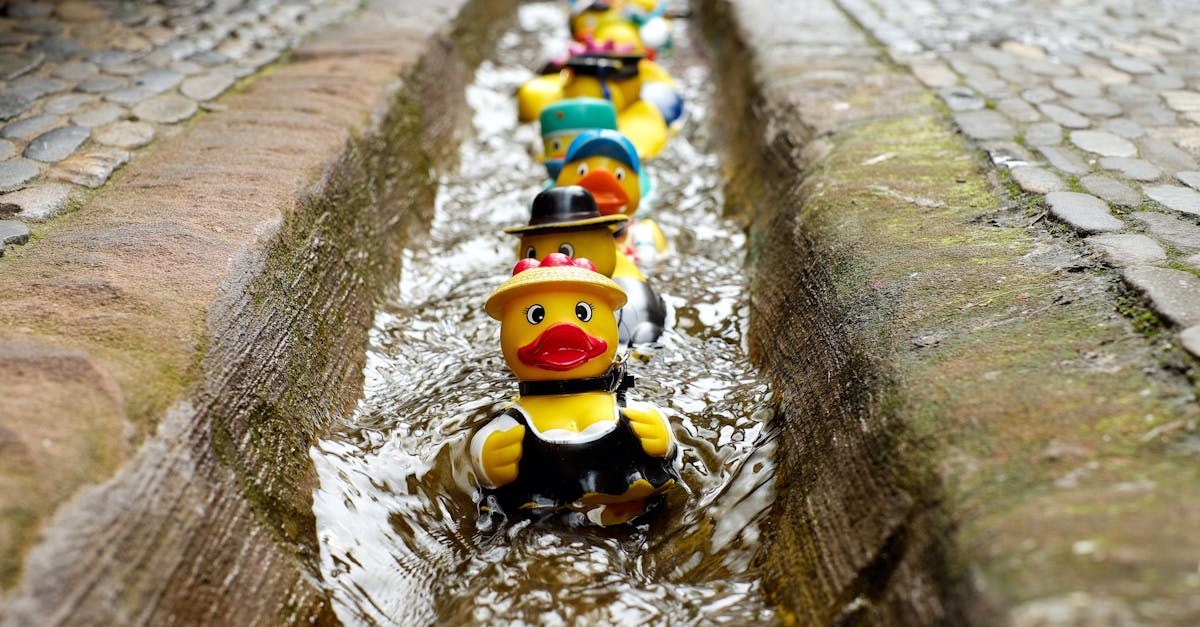 découvrez le monde fascinant des canards : leur habitat, leur comportement et leur importance dans l'écosystème. apprenez à les reconnaître et profitez de conseils pour les observer dans la nature.