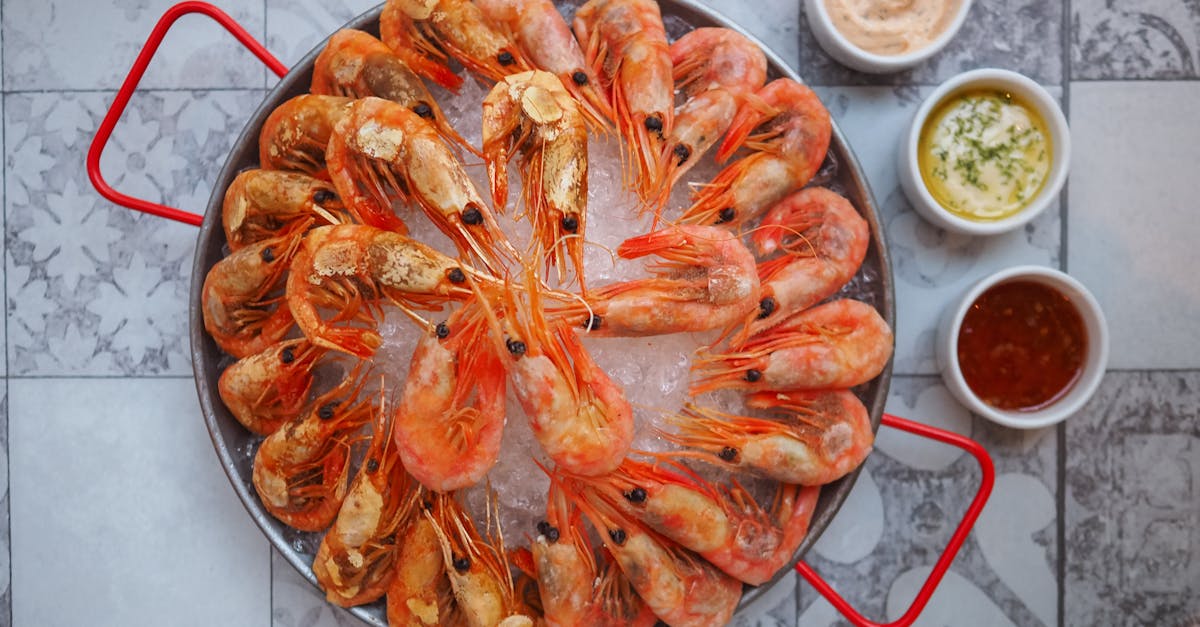 découvrez notre délicieuse recette de sauce au citron, parfaite pour rehausser vos plats de viande, de poisson ou de légumes. facile à préparer, cette sauce ajoute une touche de fraîcheur et d'acidité à vos créations culinaires. idéale pour accompagner vos repas, elle ravira les papilles des gourmets !