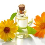 découvrez des remèdes naturels efficaces pour améliorer votre bien-être. explorez des solutions saines et douces, issues de la nature, pour soulager divers maux et favoriser une vie équilibrée.