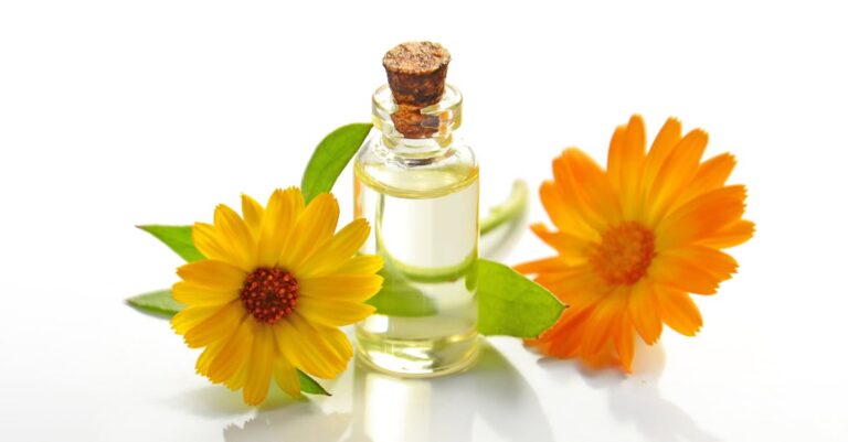 découvrez des remèdes naturels efficaces pour améliorer votre bien-être. explorez des solutions saines et douces, issues de la nature, pour soulager divers maux et favoriser une vie équilibrée.